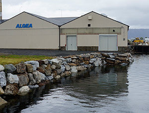 Algea Brønnøysund